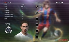 PES2011 ʼˢ˽ĵ