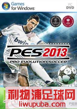 PES2013Ϸ