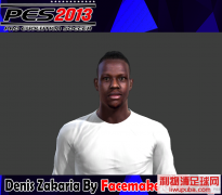 PES2013()Ͳ