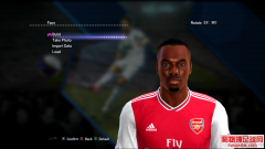 PES2013()Ͳ