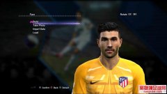 PES2013Ͳ