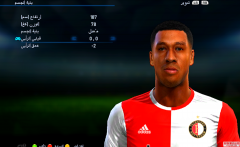 PES2013ƤͲ