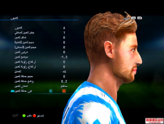 PES2013ŬͲ