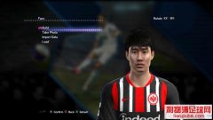 PES2013Ͳ