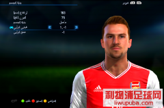 PES20132020Ͳ