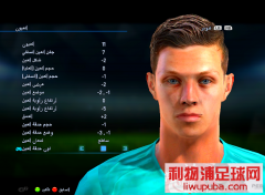 PES2013Ͳ