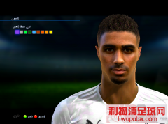 PES2013Ͳ