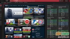 FM2021 EVOɫϵƤv1.11[]