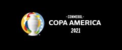 官方：2021美洲杯移师巴西举行