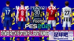 PES2021 EVOWEBv6.0תᲹ[2.28]