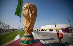 Ӣ20ҾֲFIFA 籭